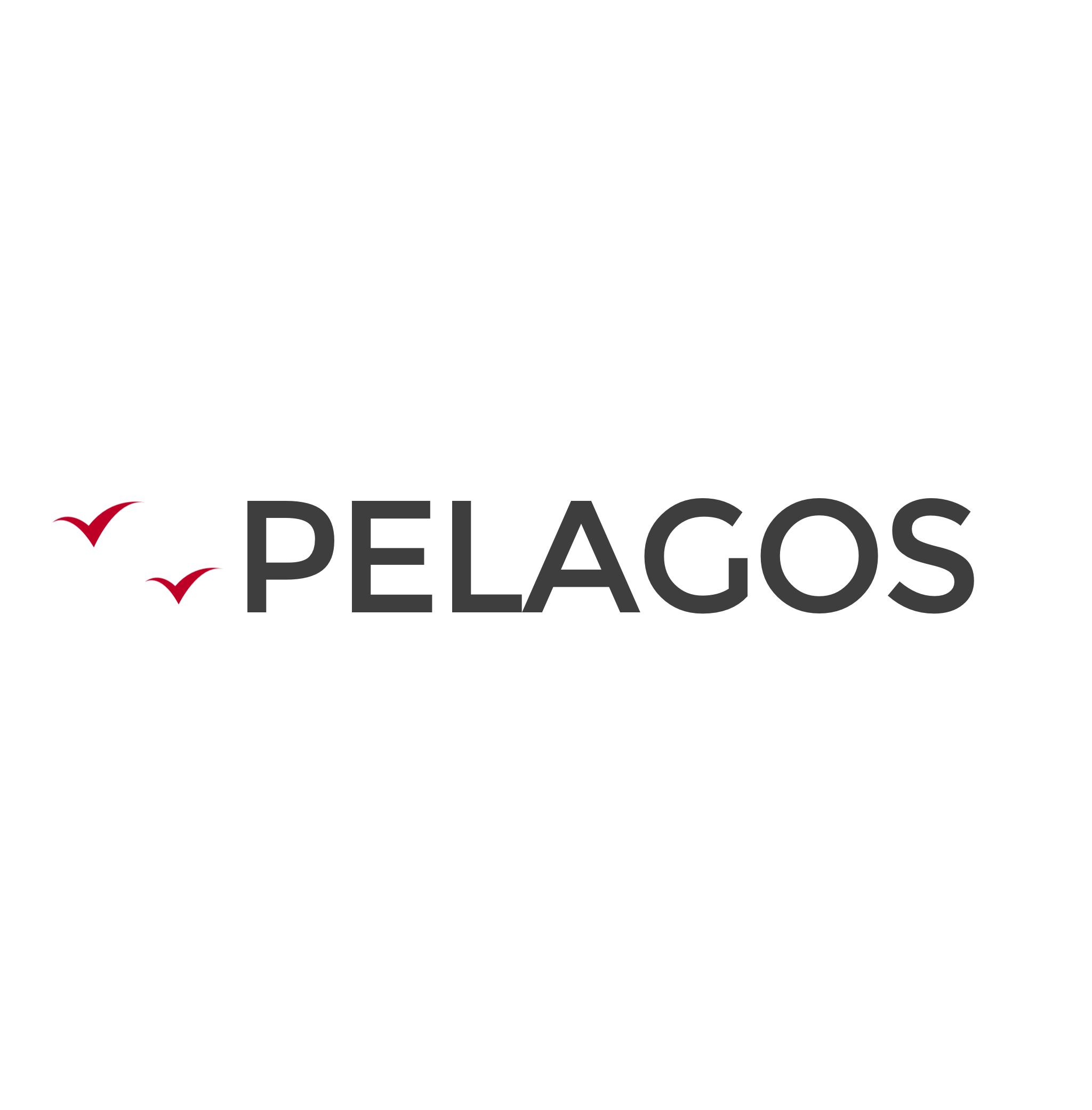 pelagos様の写真